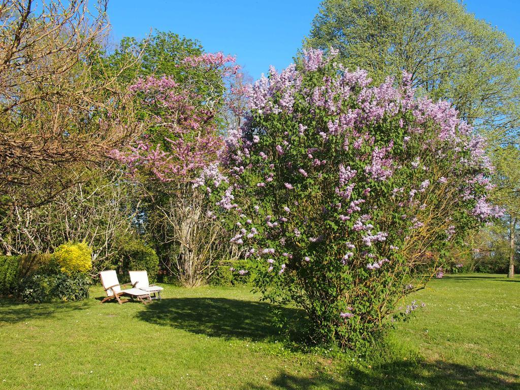 Gite De Charme Au Bord Du Tarn Marssac-sur-Tarn Luaran gambar