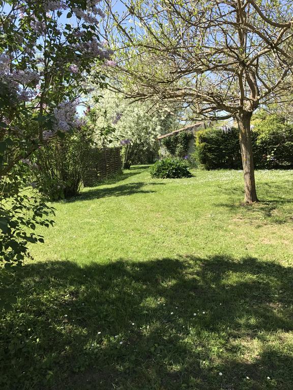 Gite De Charme Au Bord Du Tarn Marssac-sur-Tarn Luaran gambar